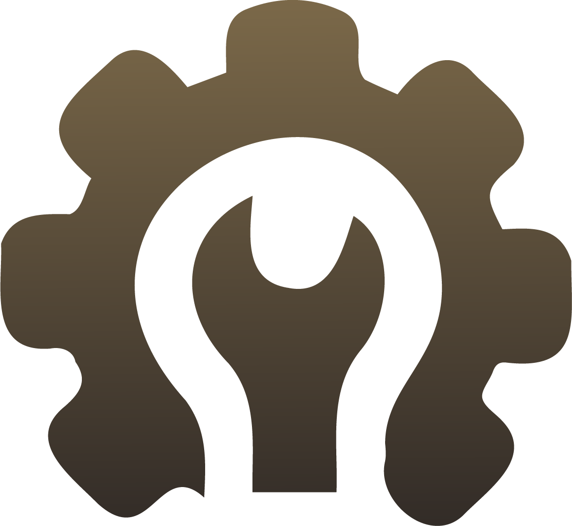 Customize Solutions ICON